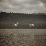 Czorsztyn Glamp *
