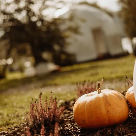 Czorsztyn Glamp Maniowy