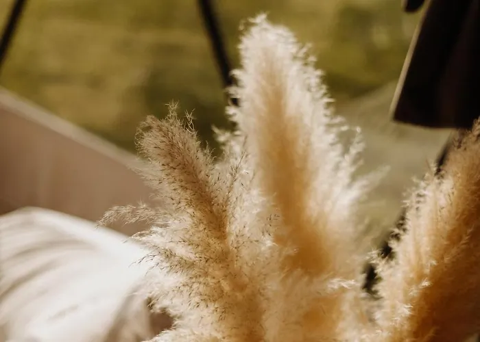 Czorsztyn Glamp Maniowy